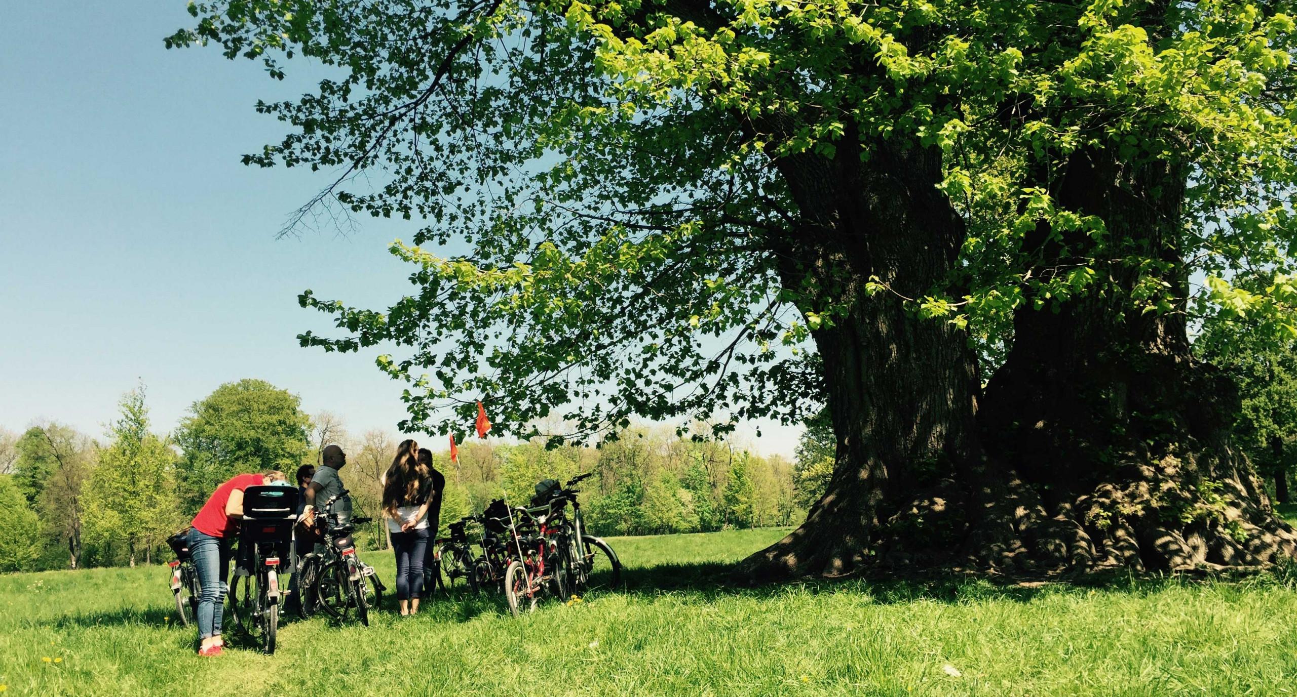 Englischer-Garten E-Bike-Tour mit MucTours MucBike