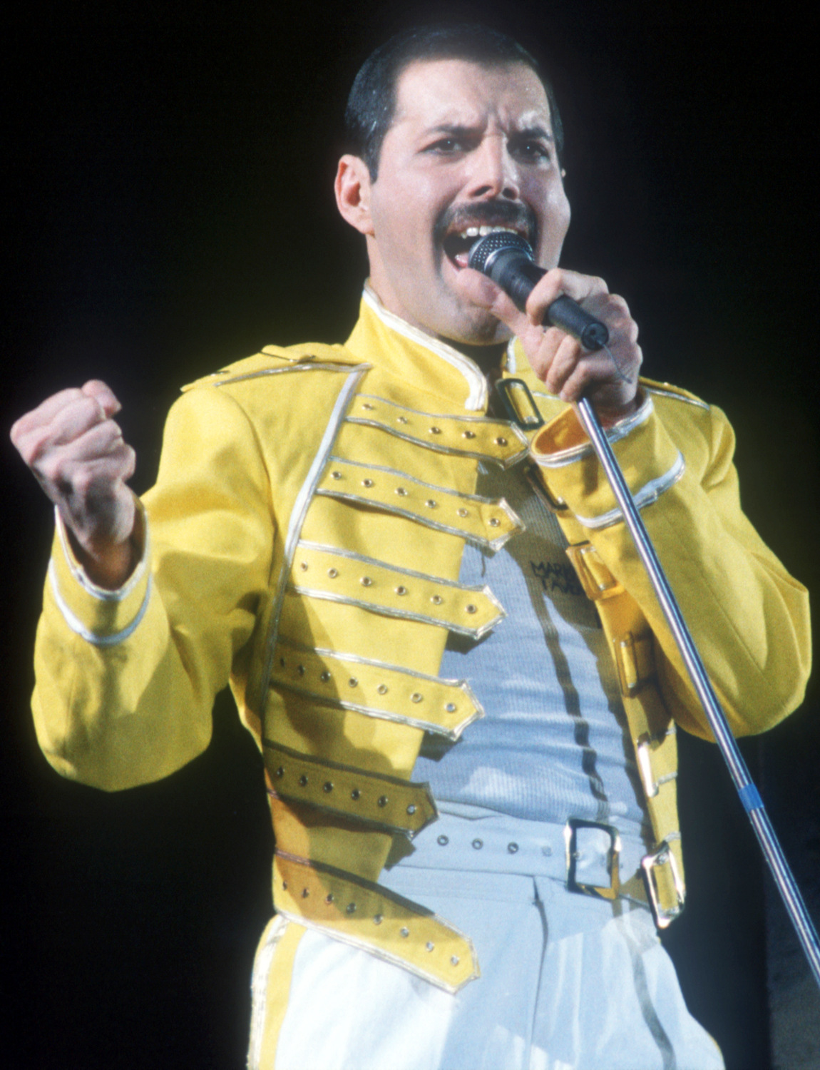 Queen Freddie Mercury Live