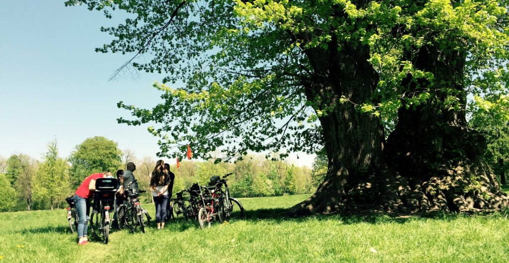 English Garden with the MucBike on a MucTours M;ünchen excursion
